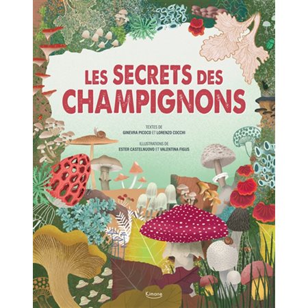 Les secrets des champignons