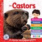 Mon Louloudoc : Les castors