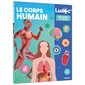 Ludoc : Le corps humain Ludoc : Le corps humain