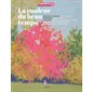 La couleur du beau temps
