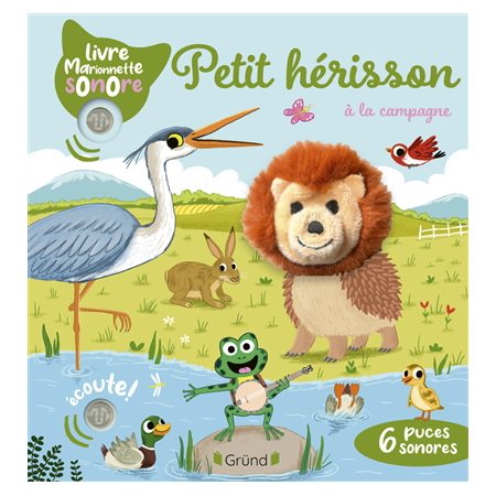 Petit hérisson à la campagne