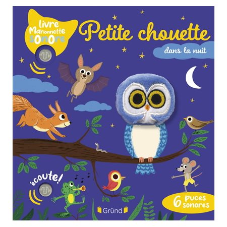 Petite chouette dans la nuit
