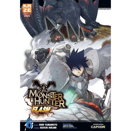 Monster hunter flash #6