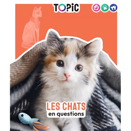 Les chats en questions Les chats en questions