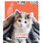 Les chats en questions Les chats en questions