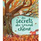 Les secrets du grand chêne