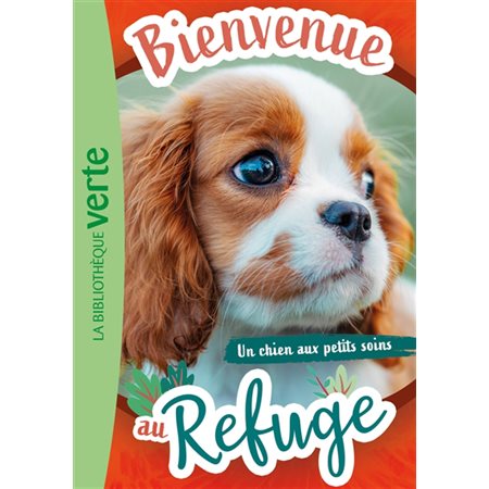 Bienvenue au refuge #13 Un chien aux petits soins