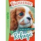 Bienvenue au refuge #13 Un chien aux petits soins