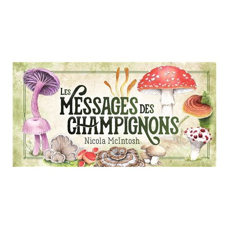 Les messages des champignons