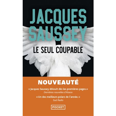 Le seul coupable