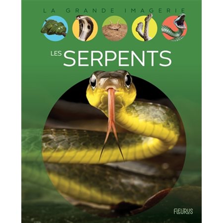 La grande imagerie : Les serpents