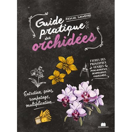 Guide pratique des orchidées : entretien, soins, rempotage, multiplication...
