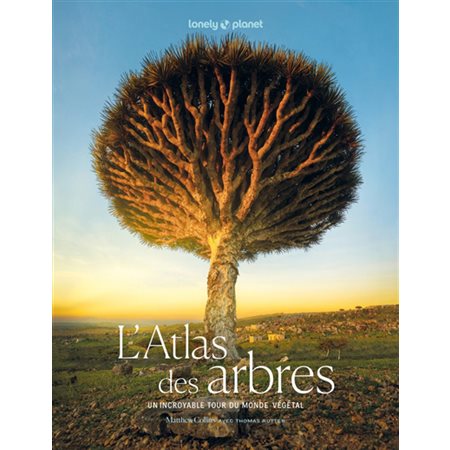 L'atlas des arbres