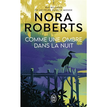 Comme une ombre dans la nuit
