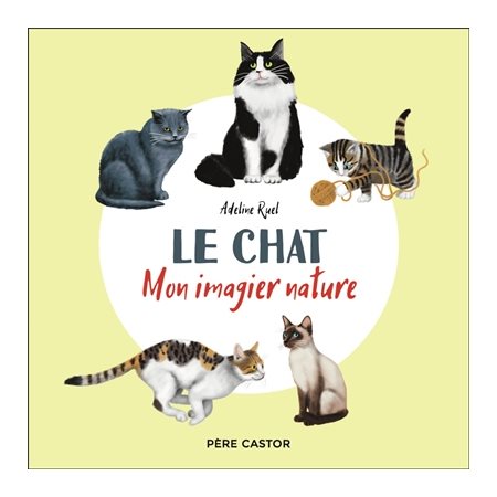 Le chat