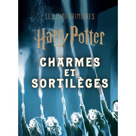 Harry Potter : Charmes et sortilèges