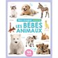 Mon imagier sonore : Les bébés animaux