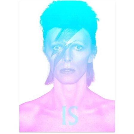 David Bowie is inside