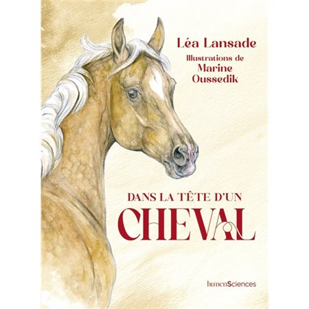 Dans la tête d'un cheval