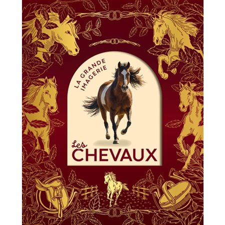 La grande imagerie : Les chevaux