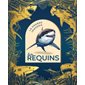 La grande imagerie : Les requins
