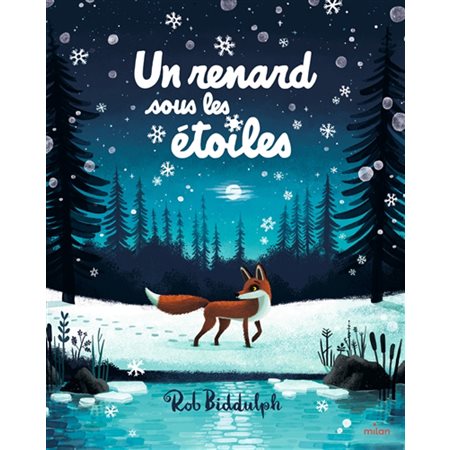 Un renard sous les étoiles