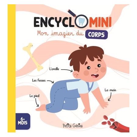 Encyclomini : Mon imagier du corps