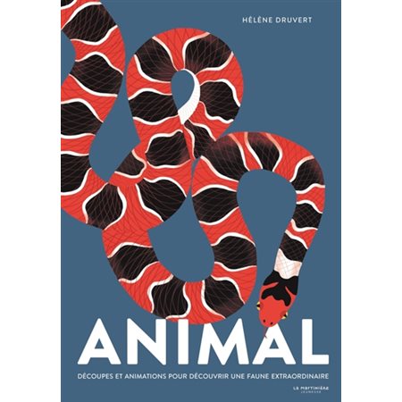 Animal : découpes et animations pour découvrir une faune extraordinaire