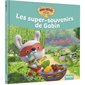 Les mini-héros de la forêt : Les super-souvenirs de Gabin