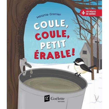Coule, coule, petit érable !