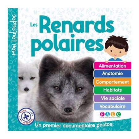 Mon Louloudoc : Les renards polaires