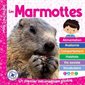 Mon Louloudoc : Les marmottes