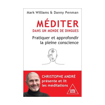 Méditer dans un monde de dingue