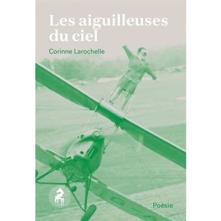 Les aiguilleuses du ciel