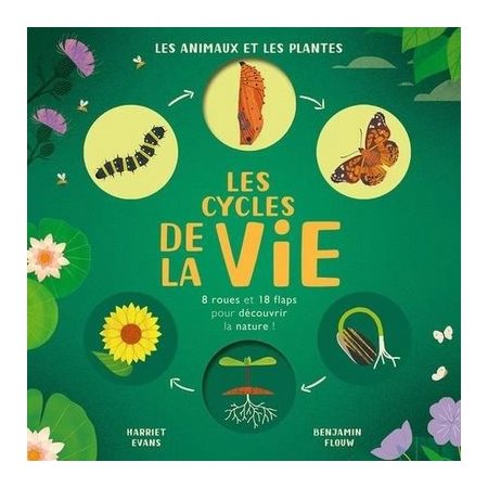 Les cycles de la vie