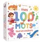 Mes 100 mots tout en couleurs