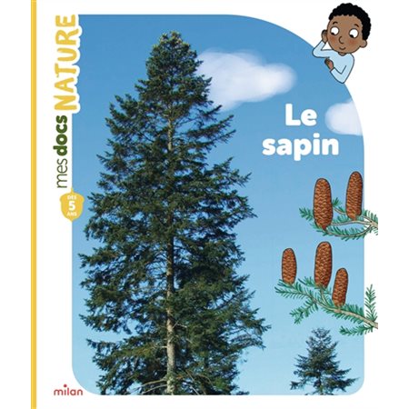 Le sapin