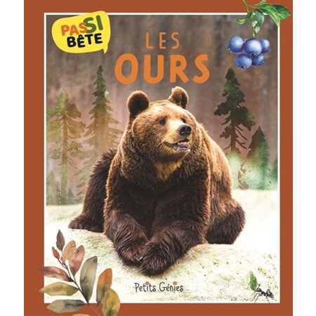 Pas si bête : Les ours