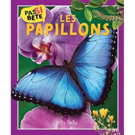 Pas si bête : Les papillons
