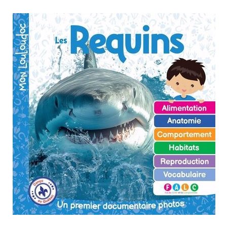 Mon Louloudoc : Les requins