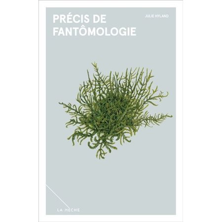 Précis de fantômologie