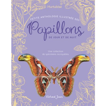 Petite anthologie illustrée des papillons de jour et de nuit